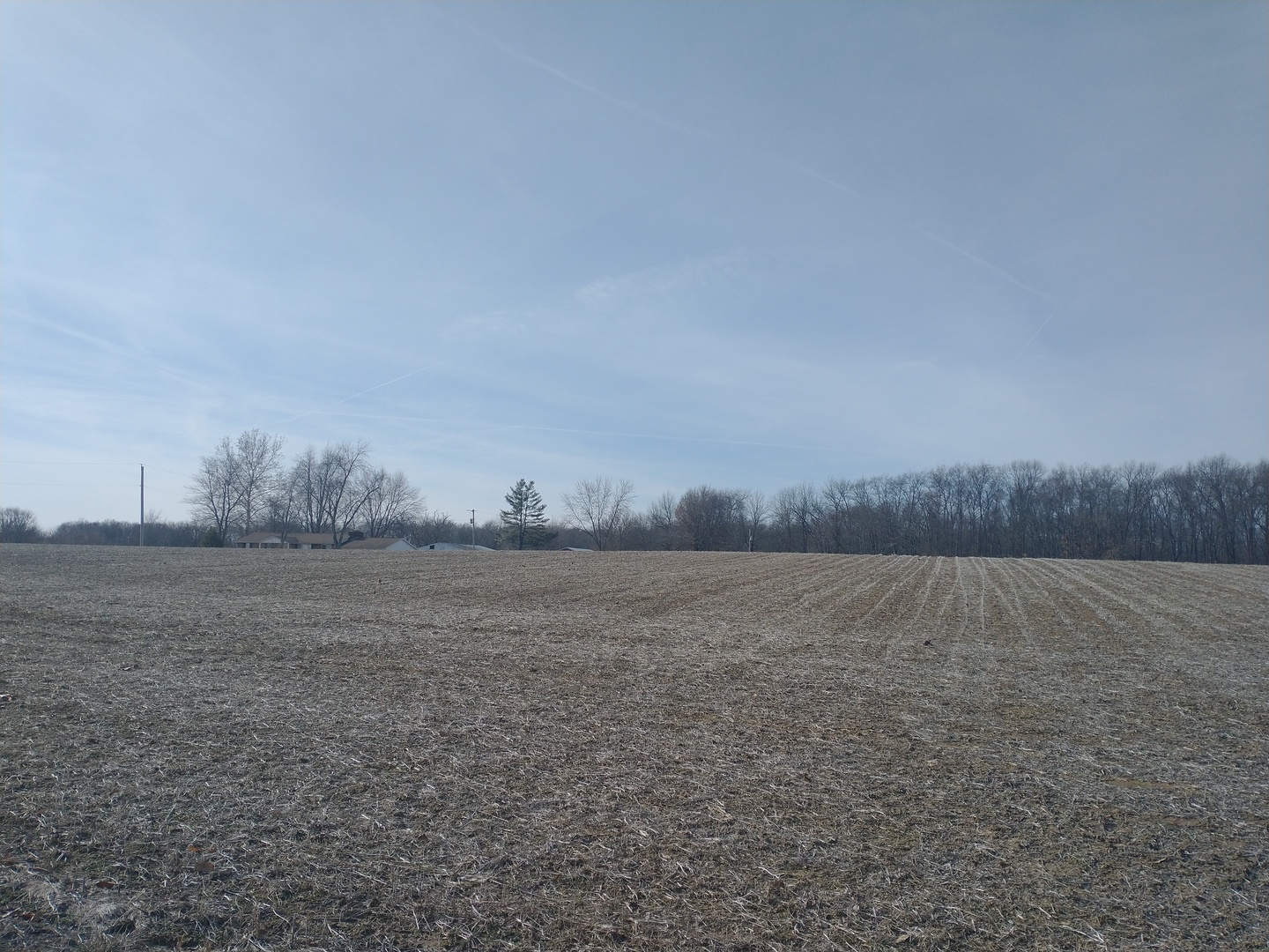 0 Locust Road, Delavan, IL 61734