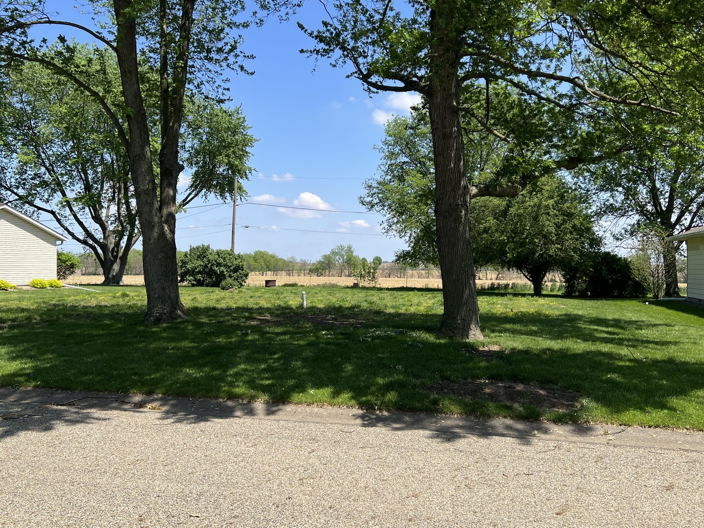 106 Heritage Lane, Delavan, IL 61734