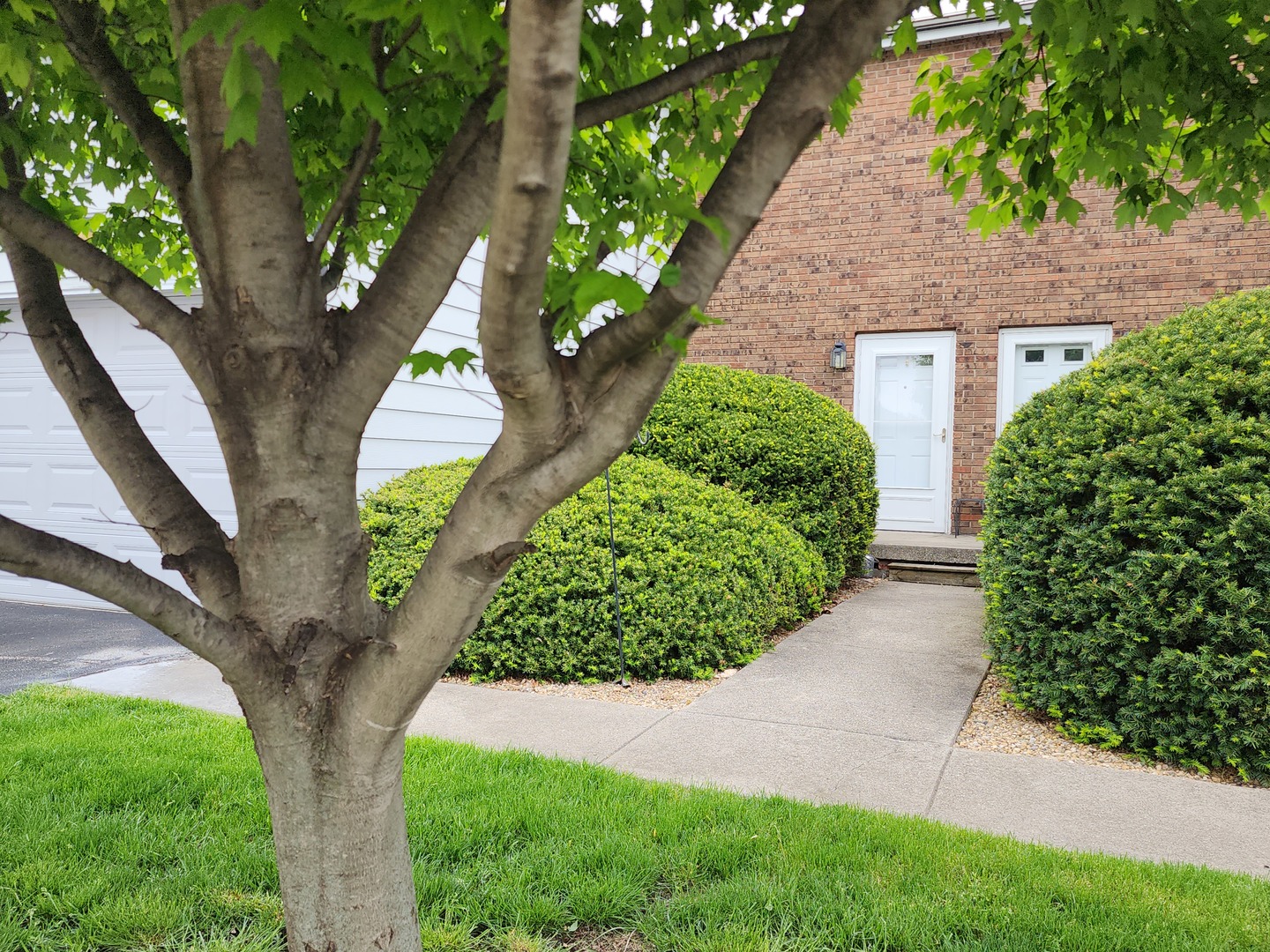 2516 E Washington Street #G, Bloomington, IL 61704