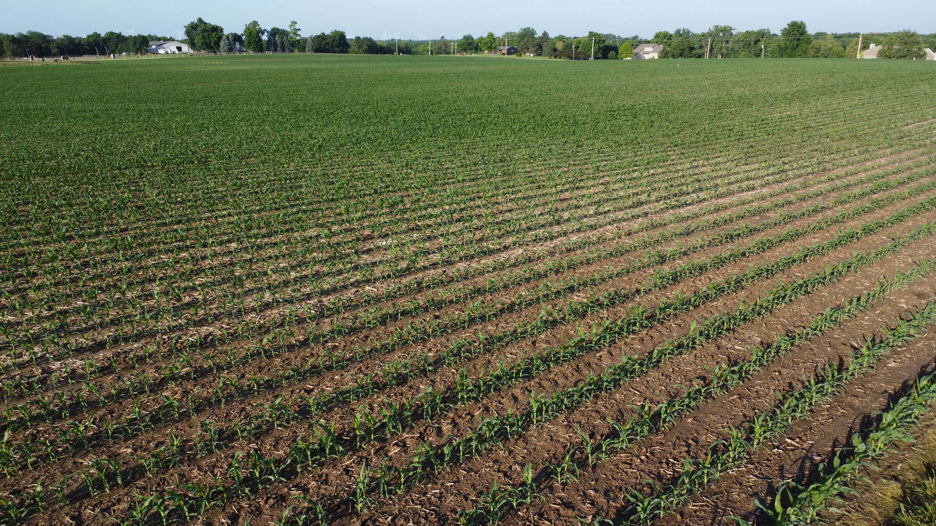 00 525N, El Paso, IL 61738